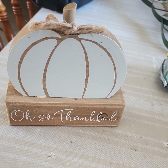 youngs inc Other - Rustic White and Brown Pumpkin Decor